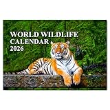 World Wildlife Calendar 2026 uk 12 Month to View Wall Calendar 2026 A3 When Open Papa Prints