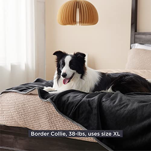Snapklik.com : Bedsure Cat Blanket For Indoor Cats - Waterproof Calming ...