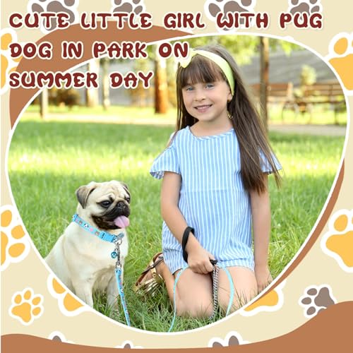 Amylove AMYLOVE-6A-Q 48 Pcs Dog Collar And Leash Set, Polypropylene Adjustable Puppy Collars thumb #2