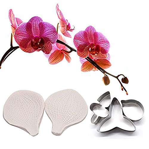 AK ART KITCHENWARE Gum Paste Orchid Decoration Tool Stainless Steel Cookie Cutter Set Silicone Veining Mold Sugarpaste Making Tool A312&VM004