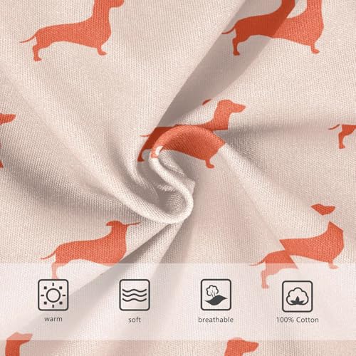 Cotton Little Boys Briefs Dachshund Soft Toddler Underwear3