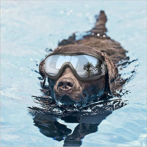 NAMSAN Hondenbril, anti-uv waterdicht, winddicht, instelbaar, hondenzonnebril, modieuze veiligheidsbril voor honden, geschikt voor kleine en middelgrote honden (roze