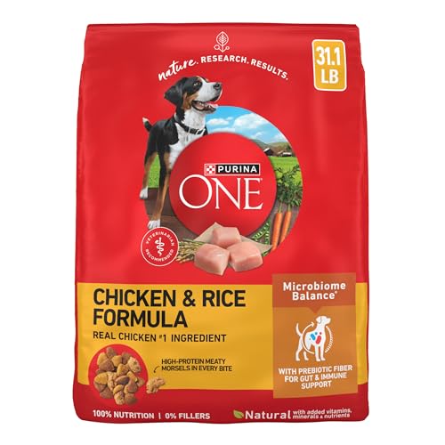 Purina ONE Chicken and Rice Formula Dry Dog Food - 31.1 lb. Bag