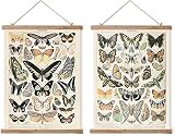 2 Pack Vintage Butterfly Style Poster, Quaint Printed Butterfly Wall Hanging, Wall Decoration Pendan