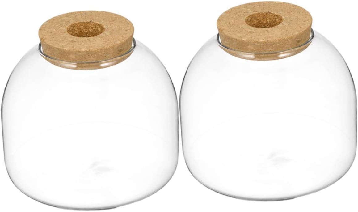 2pcs Microlandscape Ecological Glass Bottles with Cork Stopper, Moss Plant Container for Desktop Succulent Terrarium and Hydroponic Micro Landscape Decor