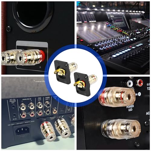 Terminal de caja de altavoz D-Type 4mm conector banana miniatura 6