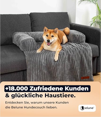 Belune Hundecouch Deluxe - waschbar [Dunkelgrau, S - 80cm x 75cm] Hundebett Plüsch, Hundecouch, Sofaschutz kleine & Mittelgroße Hunde
