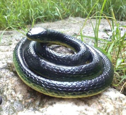 Image of KRySt Brown Lizard and Black Snake Combo Toys | Real Looking Rubber Lizard Toy | Original Look Chipkali Toy | Chipkali and Snake Prank Toys for Kids and Adults (1Pack Snake)