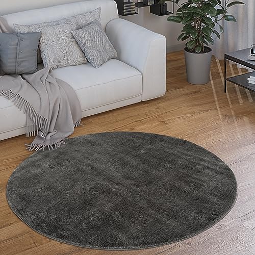 Paco Home Alfombra Redonda Salón Pelo Corto Moderna Mullida Lavable Monocolor, tamaño:Ø 200 cm Redon, Color:Antracita