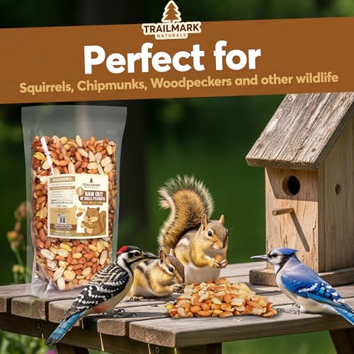 45 LB - Raw Shelled Peanuts For Squirrels, Out of Shell Peanuts For Birds and Wildlife- Squirrel Food, Wild Bird Seed - Grown in The USA
