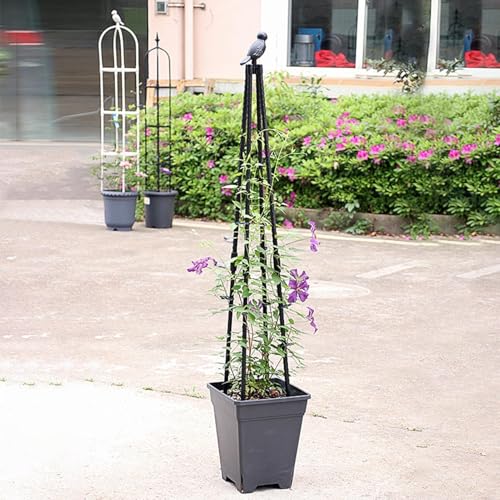 Enrejado de soporte de vid para optimizar sus camas elevadas de balcón 3