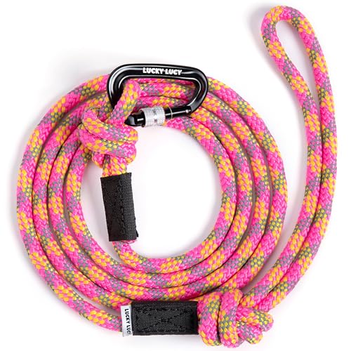 Lucky Lucy Reflective Dog Lead 2 m Tear-Resistant Polypropylene / Polyester up to 300 kg with Aluminium Carabiner for Medium and Large Dogs Bright Fuchsia