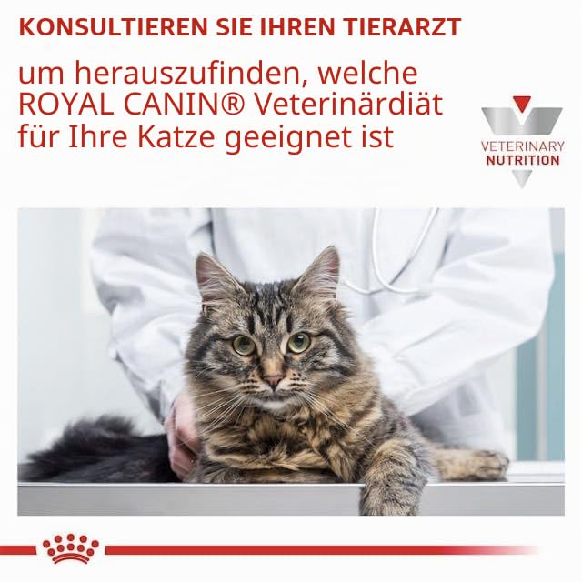 Royal Canin Veterinary Anallergenic für Katzen | 4 kg | Trockennahrung | Diät-Alleinfuttermittel für ausgewachsene Katzen | Stark hydrolysiertes Protein