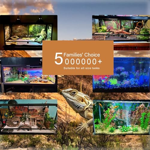 Image of Soft Corals Aquarium Background Large Soft Corals Underwater Shipwreck Fish Tank Background Tropical Undersea Ocean Seabed Floor Colorful Corals Terrarium Backgrounds Wallpaper Poster 72x24in