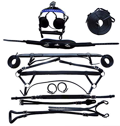 Equitem Black Economy Leather Large Mini Driving Cart Harness with Color Accent (Black with Blue)