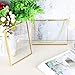 JUXYES Picture Frame, Set of 2 Brass Floater Frame, Golden Glass, 5 x 7 inches, Modern Art Design, Wall Hanging