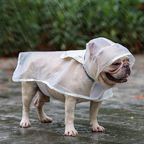 Edoxus Hunderegenmantel Haustier Verstellbar Regenjacke mit Kapuze Transparent Wasserdicht Hundejacke Eva Poncho für Kleine Mittlere Hunde, M