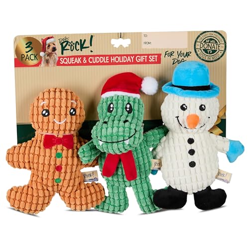 Dogs Rock Holiday ނʂ AႾ&WW[ubĥA3