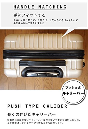 Carry-on Suitcase [DJ002] Ultra-Lightweight 16-inch Four-Wheel ABS Carry case (Black) (Champagne)3