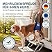 Nature Pet © - Tragehilfe Hund hinten - Verstellbarer Hunde Tragegurt als Treppenhilfe - Ideal für ältere, kranke oder operierte Vierbeiner - Praktische Unterstützung für Mobilität (L, Schwarz)