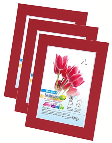 Chikuma フォトフレーム UclidマットEX 2L ワインレッド 3冊セット 30041-0