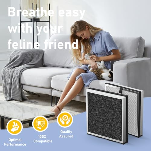 Image of JF239 Replacement Filter Compatible with JF239 /JF268 Air Purifier, 3-in-1 HEPA 13 Filtration System, 2 Pack(2 Filters & 10 Aroma Pads)