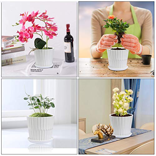 Plant-Pots-67-Inch-Cylinder-Ceramic-Planters-with-Connected-Saucer-Pots-for-Succuelnt-and-Little-Snake-Plants-Set-of-2-White Plant-Pots-67-Inch-Cylinder-Ceramic-Planters-with-Connected-Saucer-Pots-for-Succuelnt-and-Little-Snake-Plants-Set-of-2-White