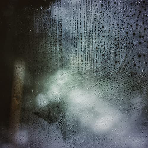 Sönke Meinen & Trevor Gordon Hall