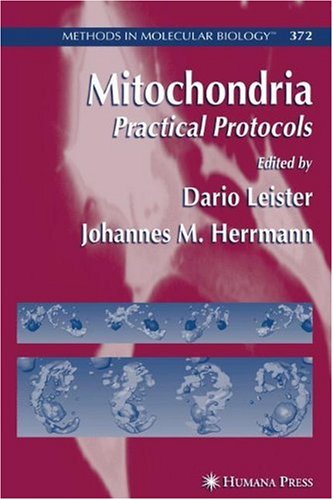 Mitochondria: Practical Protocols (Methods in Molecular Biology)