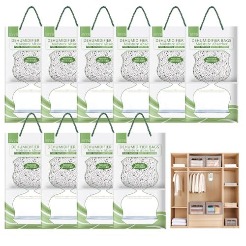 Bolsas dehumidificadoras 10pcs 500 ml de absorbadores de humedad activados bolsas colgantes para armario 100 g/paquete absorbedor de humedad y quiebras en dormitorios de armarios