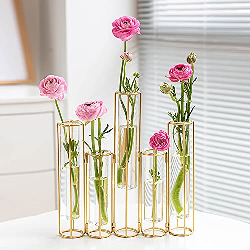 nother Bigsee Test Tube Vase for Flowers Glass Vase with Metal Stand Racks Hydroponic Test TubeVase Set of 5 Gold Hinged Plant Vases Display Set Table Centerpieces Vase for Home Decor (Gold)