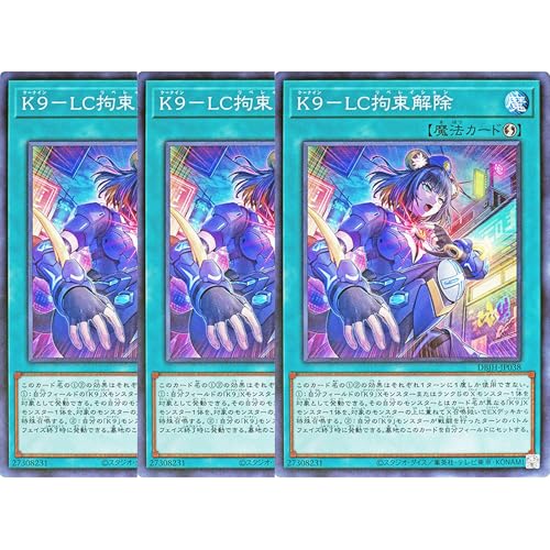 y3Zbgz VYJ[h DBJH-JP038 K9-LCS LCxCV im[}j fbLrhpbN [WXeBXEn^[Y[ DBJH @ K9 P[iC