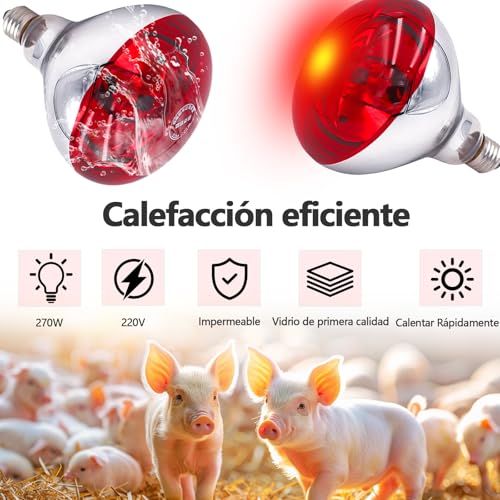 Focos para dar calor 5 Imagen adicional
