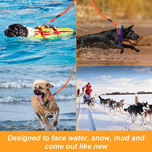 Vivifying Waterproof Dog Leash thumb #5