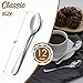 Hiware 12-Piece Demitasse Espresso Spoons, 4 Inches Stainless Steel Mini Coffee Spoons