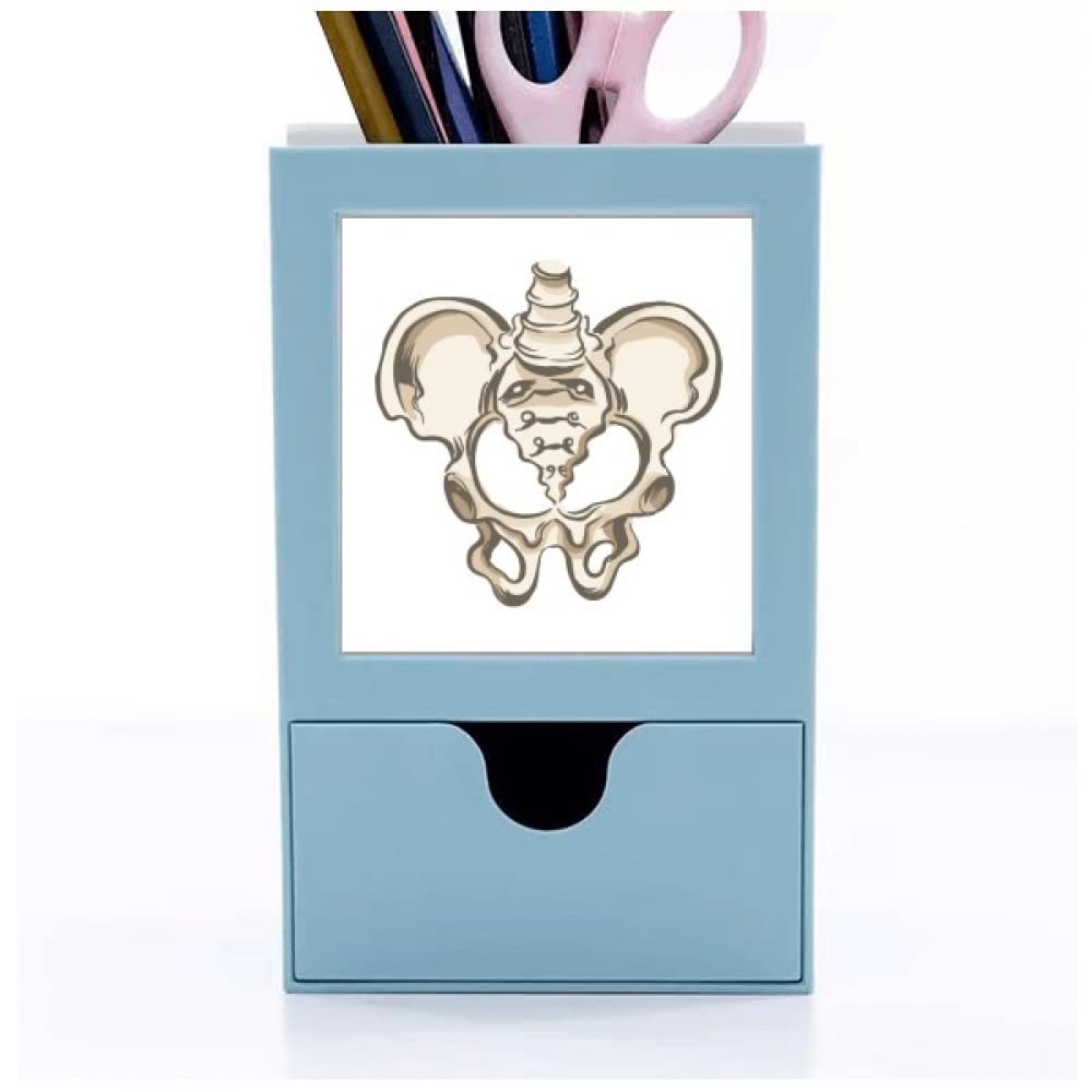 no/no Human Skeleton Sketch Simple Desk Supplies Organizer Pen Holder Card