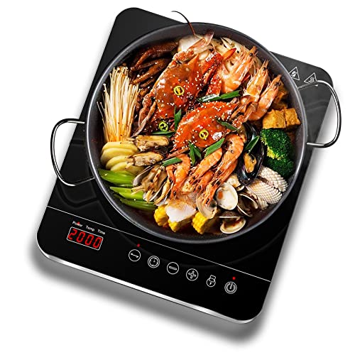 AAOBOSI Aobosi Single Induction Hob,Portable...