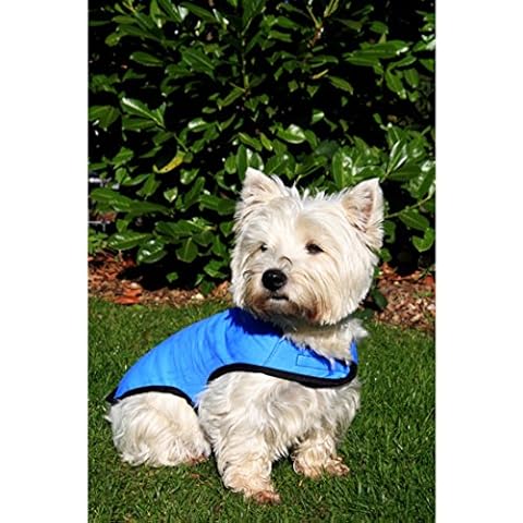 Prestige Adjustable Cool Coat for Dogs Cover