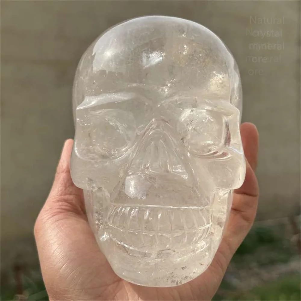 RVBLRDSE Crystal Hand Sculpted Skull Quartz Home Decoration Decor(Size:300-350g) Gemstone Stone