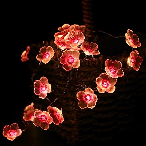 Hefoklu Cherry Blossom Flower String Lights Battery Operated For Bedroom 10Ft 30 Leds Indoor Flash 2 Modes Wall Decor Curtain Decorative Fairy Twinkle Purple Hanging Lighting For Living Room Plants thumb #5