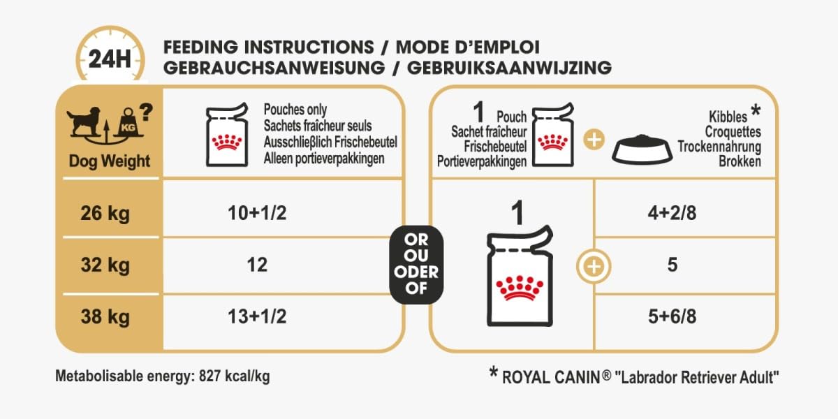 Royal Canin e Labrador Adult Box 10 x 140 GR