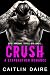 Crush - A Stepbrother Romance
