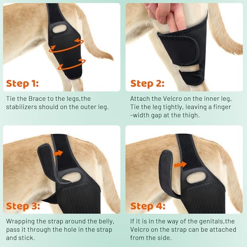 Image of Dog Knee Brace for Torn ACL Hind Leg Dog Leg Braces for Back Leg Front Torn for Hip Dysplasia, Dog Arthritis, Luxating Patella