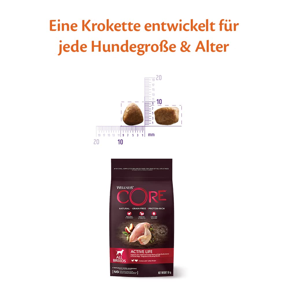 Wellness CORE Active Life 10 kg, Huhn & Truthahn – Hundefutter Trocken für alle Hunderassen, getreidefrei, natürlich, hypoallergen, proteinreich, unterstützt aktive Hunde und säugende Hündinnen