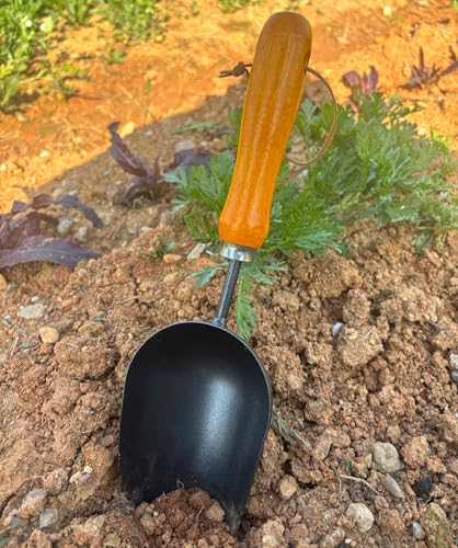 Palita de Jardín 12.6’’ con Mango de Madera y Acero Inoxidable miniatura 6