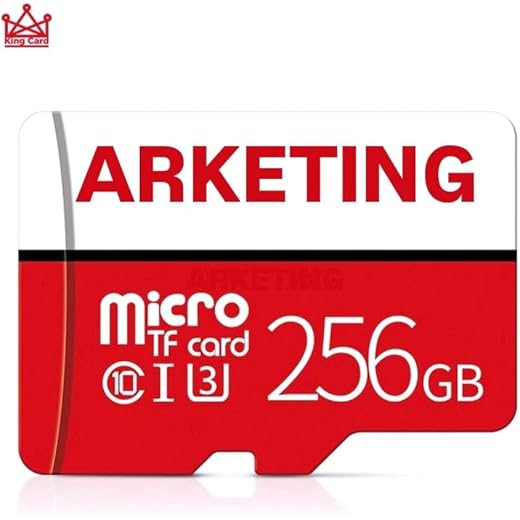 Flash Memory 256GB A1 Class 10 MICROSDXC 256 GB