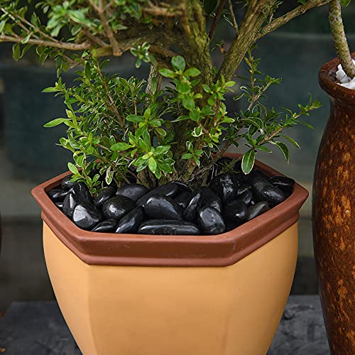 Hisredsun 1,8 kg Dekosteine Flusskiesel für Aquarium, Blumentopf, Landschaftsbau, Vasenfüller und Gartendekoration
