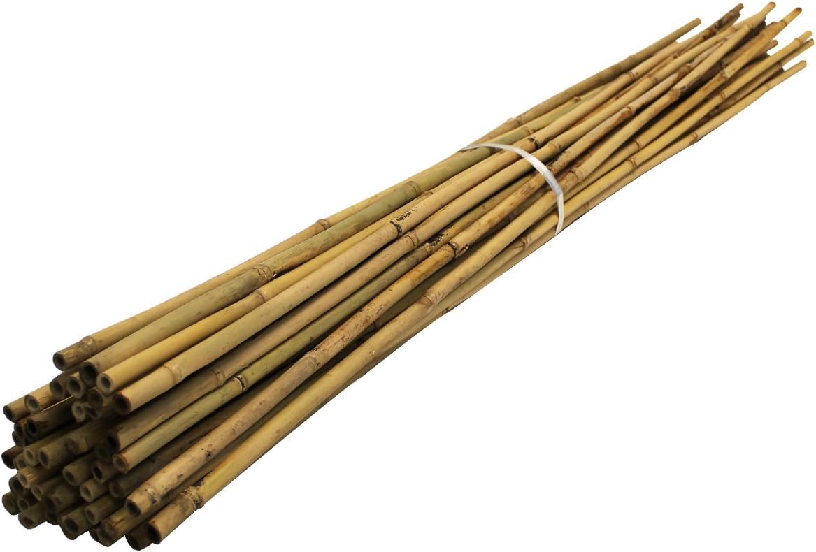 Bamboo Canes For Gardens/Plant Support | Multiple Lengths & Pack Sizes: 3ft to 12ft | Supplied by Suregreen (50, 45cm / 6-8mm)