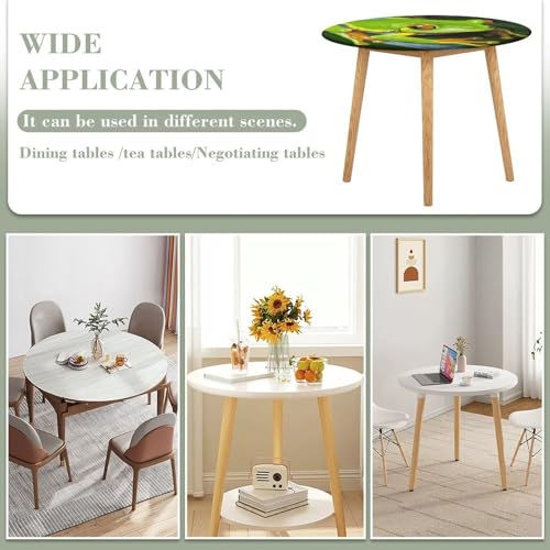 Nappe de table ronde élastique et imperméable pour repas en extérieur