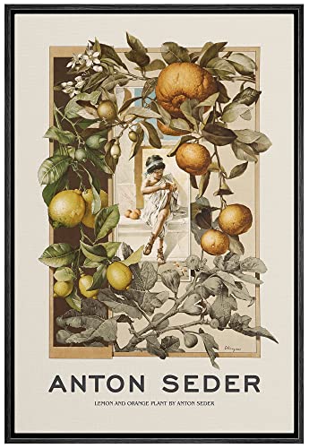 wall26 Framed Canvas Print Wall Art Pear Orange Fruit Tapestry by Anton Seder Nature Wilderness Illustrations Fine Art Farmhouse/Country Decorative for Living Room, Bedroom, Office - 16"x24" Black